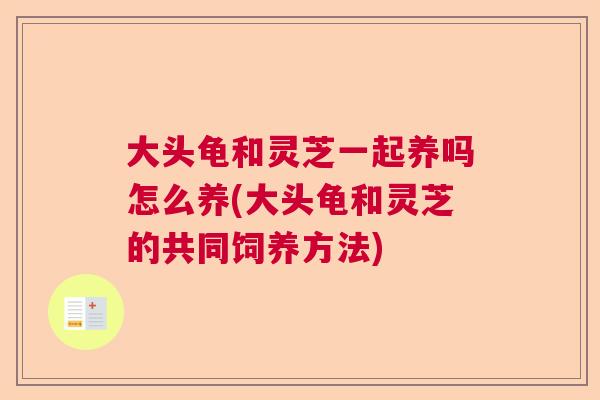 大头龟和灵芝一起养吗怎么养(大头龟和灵芝的共同饲养方法)