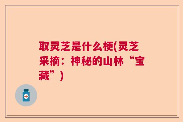 取灵芝是什么梗(灵芝采摘：神秘的山林“宝藏”)