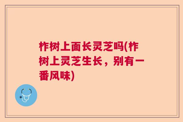 柞树上面长灵芝吗(柞树上灵芝生长，别有一番风味)