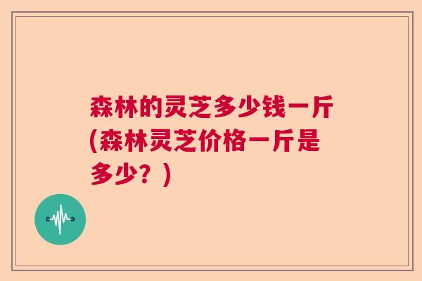森林的灵芝多少钱一斤(森林灵芝价格一斤是多少？)