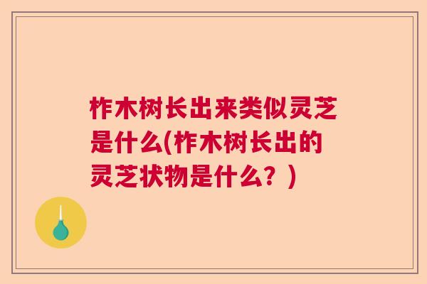 柞木树长出来类似灵芝是什么(柞木树长出的灵芝状物是什么？)