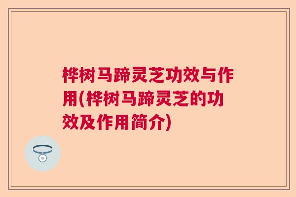 桦树马蹄灵芝功效与作用(桦树马蹄灵芝的功效及作用简介)