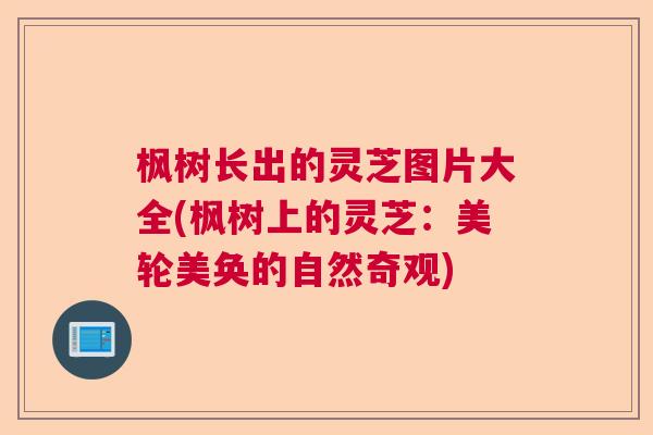 枫树长出的灵芝图片大全(枫树上的灵芝：美轮美奂的自然奇观)