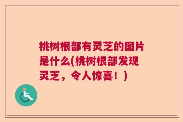 桃树根部有灵芝的图片是什么(桃树根部发现灵芝，令人惊喜！)