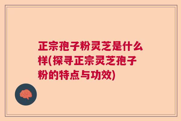 正宗孢子粉灵芝是什么样(探寻正宗灵芝孢子粉的特点与功效)