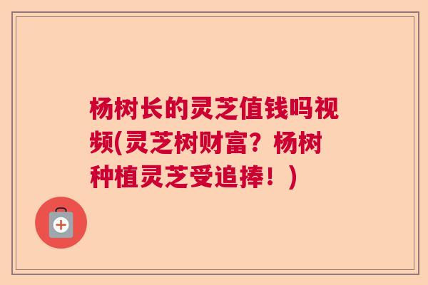 杨树长的灵芝值钱吗视频(灵芝树财富？杨树种植灵芝受追捧！)