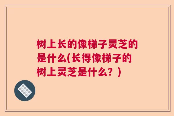 树上长的像梯子灵芝的是什么(长得像梯子的树上灵芝是什么？)