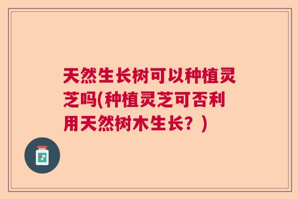 天然生长树可以种植灵芝吗(种植灵芝可否利用天然树木生长？)