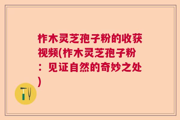 柞木灵芝孢子粉的收获视频(柞木灵芝孢子粉：见证自然的奇妙之处)