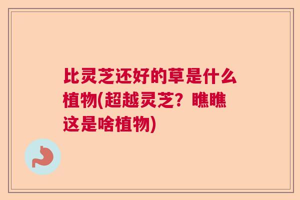 比灵芝还好的草是什么植物(超越灵芝？瞧瞧这是啥植物)