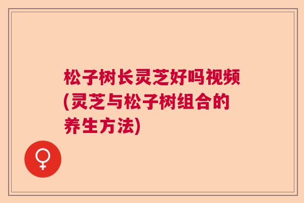 松子树长灵芝好吗视频(灵芝与松子树组合的养生方法)
