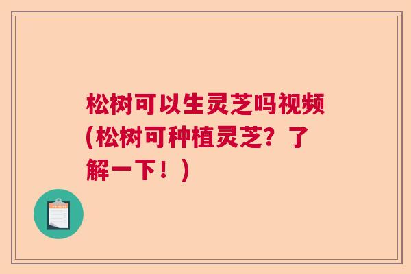松树可以生灵芝吗视频(松树可种植灵芝？了解一下！)