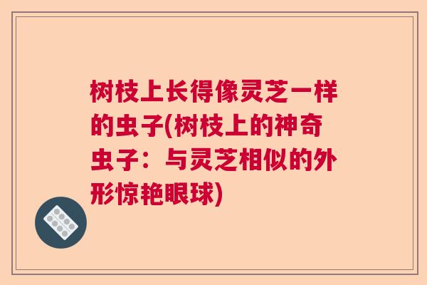 树枝上长得像灵芝一样的虫子(树枝上的神奇虫子：与灵芝相似的外形惊艳眼球)