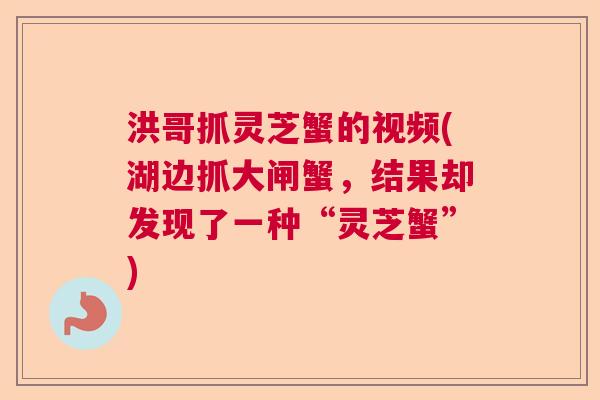 洪哥抓灵芝蟹的视频(湖边抓大闸蟹，结果却发现了一种“灵芝蟹”)
