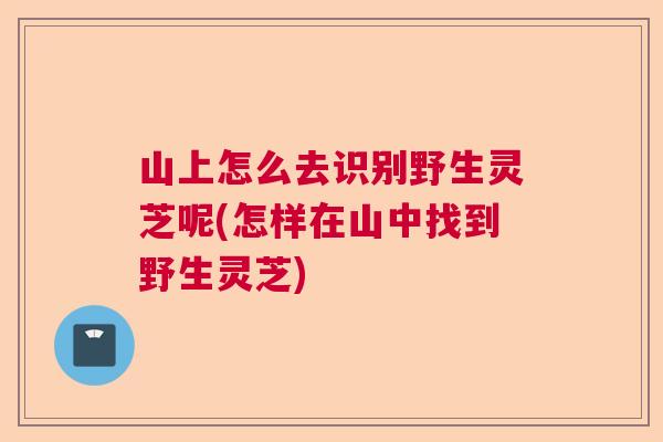 山上怎么去识别野生灵芝呢(怎样在山中找到野生灵芝)