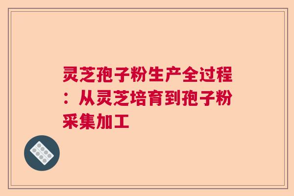 灵芝孢子粉生产全过程：从灵芝培育到孢子粉采集加工