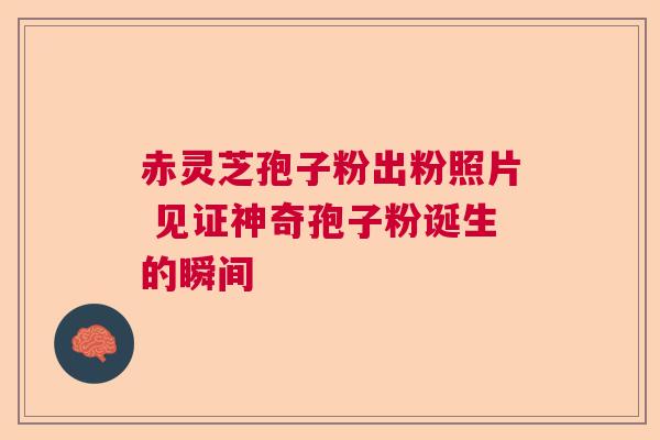 赤灵芝孢子粉出粉照片 见证神奇孢子粉诞生的瞬间
