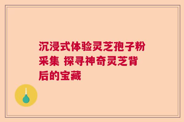 沉浸式体验灵芝孢子粉采集 探寻神奇灵芝背后的宝藏