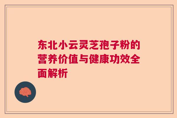 东北小云灵芝孢子粉的营养价值与健康功效全面解析