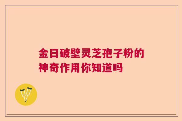 金日破壁灵芝孢子粉的神奇作用你知道吗