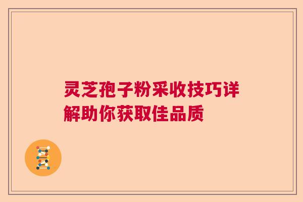 灵芝孢子粉采收技巧详解助你获取佳品质