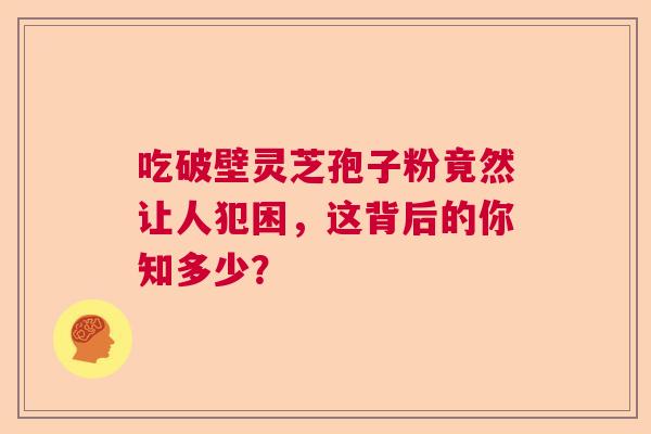 吃破壁灵芝孢子粉竟然让人犯困，这背后的你知多少？