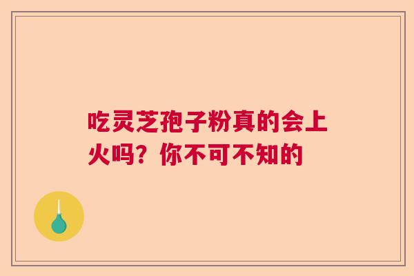 吃灵芝孢子粉真的会上火吗？你不可不知的