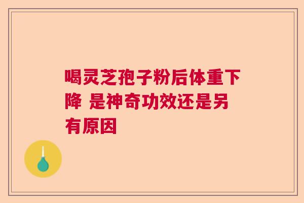 喝灵芝孢子粉后体重下降 是神奇功效还是另有原因