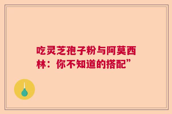 吃灵芝孢子粉与阿莫西林：你不知道的搭配”