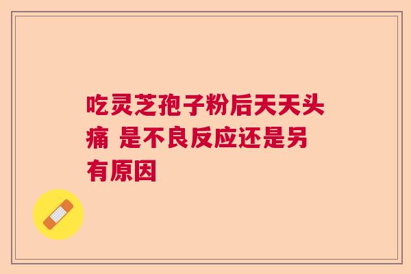 吃灵芝孢子粉后天天头痛 是不良反应还是另有原因