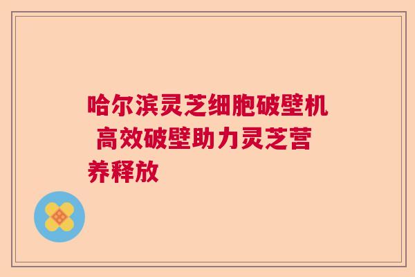 哈尔滨灵芝细胞破壁机 高效破壁助力灵芝营养释放