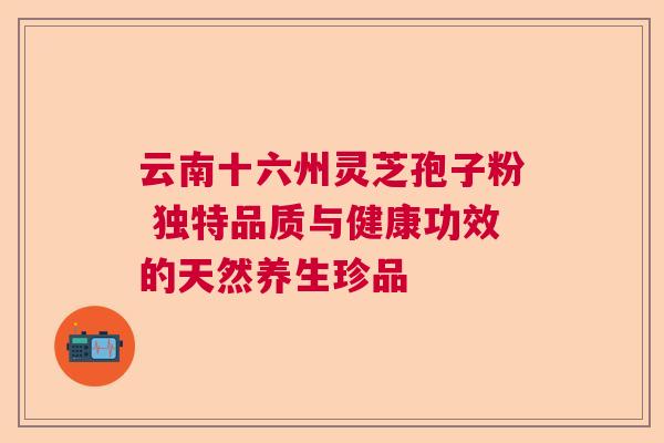 云南十六州灵芝孢子粉 独特品质与健康功效的天然养生珍品