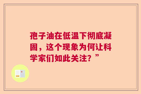 孢子油在低温下彻底凝固，这个现象为何让科学家们如此关注？”