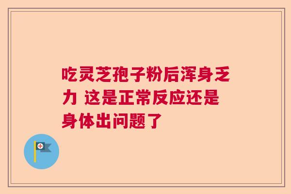吃灵芝孢子粉后浑身乏力 这是正常反应还是身体出问题了