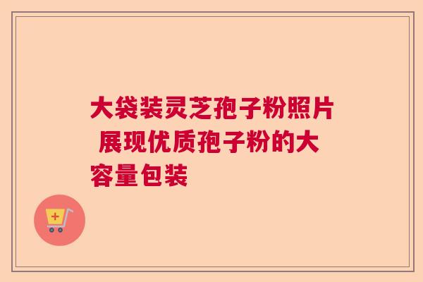 大袋装灵芝孢子粉照片 展现优质孢子粉的大容量包装
