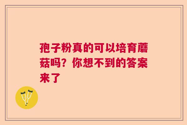 孢子粉真的可以培育蘑菇吗？你想不到的答案来了