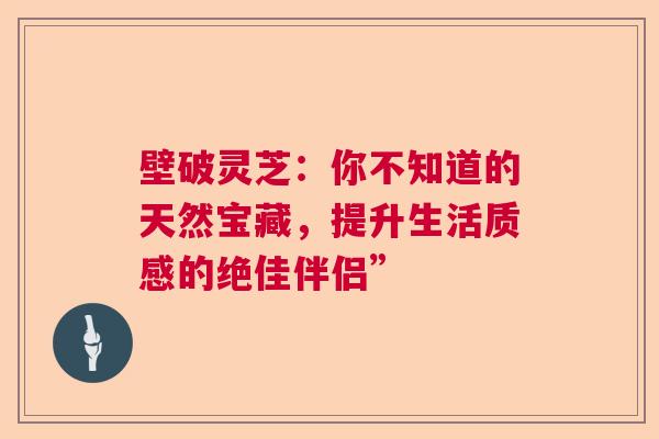 壁破灵芝：你不知道的天然宝藏，提升生活质感的绝佳伴侣”