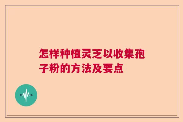 怎样种植灵芝以收集孢子粉的方法及要点
