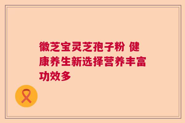 徽芝宝灵芝孢子粉 健康养生新选择营养丰富功效多
