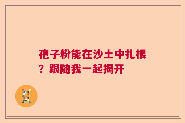 孢子粉能在沙土中扎根？跟随我一起揭开
