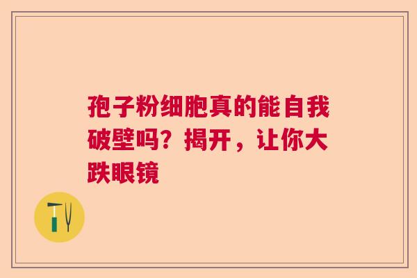 孢子粉细胞真的能自我破壁吗？揭开，让你大跌眼镜