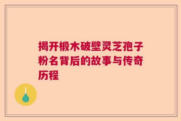 揭开椴木破壁灵芝孢子粉名背后的故事与传奇历程
