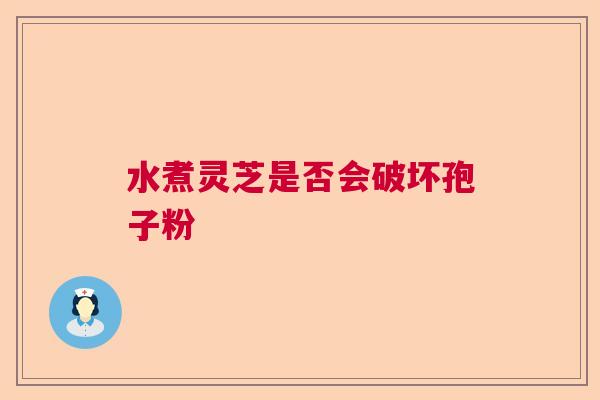 水煮灵芝是否会破坏孢子粉