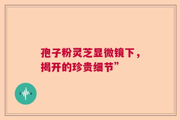 孢子粉灵芝显微镜下，揭开的珍贵细节”